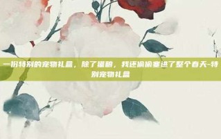 一份特别的宠物礼盒，除了猫粮，我还偷偷塞进了整个春天-特别宠物礼盒