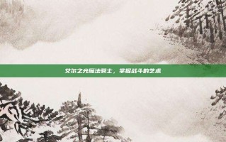 艾尔之光魔法骑士，掌握战斗的艺术