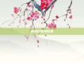 剑网3如何收费