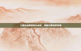 三国志战略版民心未定，策略与智慧的较量