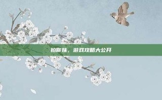 拍你妹，游戏攻略大公开