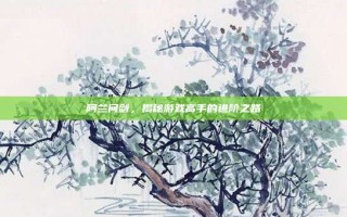 阿兰问剑，揭秘游戏高手的进阶之路