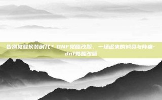 告别觉醒换装时代？DNF觉醒改版，一场迟来的减负与阵痛-dnf觉醒改版