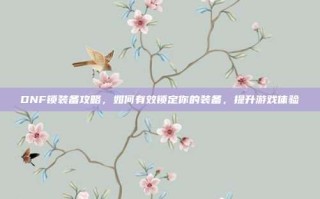DNF锁装备攻略，如何有效锁定你的装备，提升游戏体验