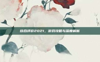 综合评价2021，游戏攻略与深度解析
