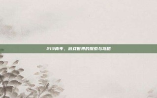 213青年，游戏世界的探索与攻略