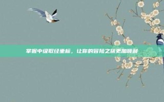 掌握中级取经坐标，让你的冒险之旅更加顺利