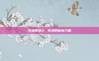 沙滩排球3，乳液的秘密力量