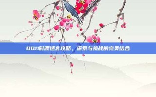DQ11时渡迷宫攻略，探索与挑战的完美结合