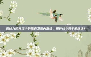 揭秘九阴真经中的锦衣卫三内系统，提升战斗效率的秘诀！