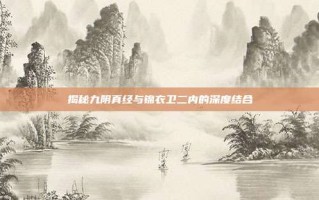 揭秘九阴真经与锦衣卫二内的深度结合