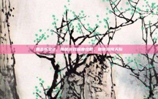 鹰击长空2，揭秘游戏深度攻略，助你翱翔天际