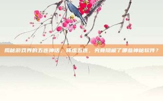 揭秘游戏界的五连神话，肾虚五连，究竟隐藏了哪些神秘软件？