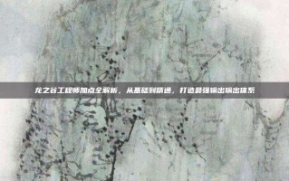 龙之谷工程师加点全解析，从基础到精通，打造最强输出输出体系