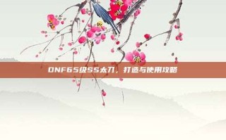 DNF65级SS太刀，打造与使用攻略