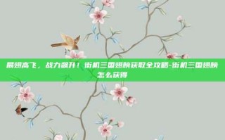 展翅高飞，战力飙升！街机三国翅膀获取全攻略-街机三国翅膀怎么获得
