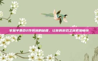 掌握半条命2作弊码的秘籍，让你的游戏之旅更加畅快