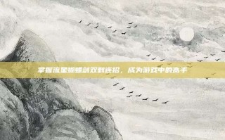 掌握流星蝴蝶剑双刺连招，成为游戏中的高手