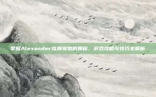 掌握Alexander炫舞宠物的奥秘，游戏攻略与技巧全解析