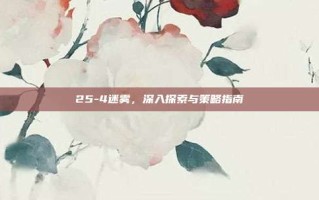 25-4迷雾，深入探索与策略指南