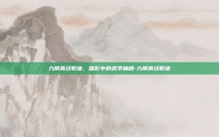 九阴真经职业，暗影中的武学巅峰-九阴真经职业