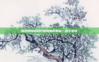 探索恶魔城晓月圆舞曲的奥秘，魂之觉醒