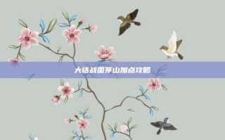 大话战国茅山加点攻略