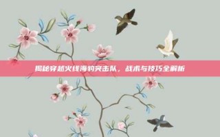 揭秘穿越火线海豹突击队，战术与技巧全解析