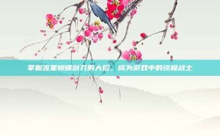 掌握流星蝴蝶剑刀的大招，成为游戏中的终极战士