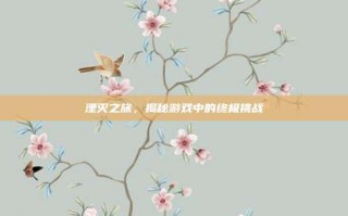 湮灭之旅，揭秘游戏中的终极挑战