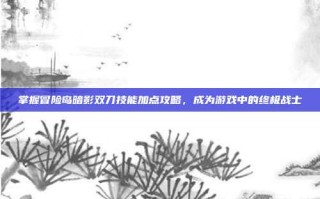 掌握冒险岛暗影双刀技能加点攻略，成为游戏中的终极战士