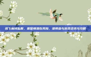 讯飞魔域私服，需警惕潜在风险，谨慎参与游戏资讯与攻略