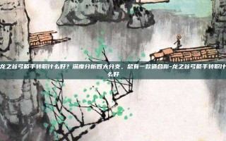 龙之谷弓箭手转职什么好？深度分析四大分支，总有一款适合你-龙之谷弓箭手转职什么好