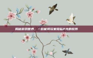 揭秘游戏世界，一款能将玩家隐私P光的软件