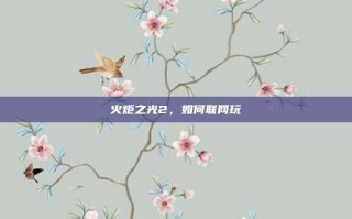 火炬之光2，如何联网玩