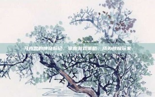 马克思的神奇标记，掌握游戏策略，成为终极玩家