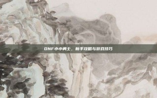 DNF小小勇士，新手攻略与游戏技巧