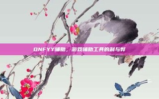 DNFYY辅助，游戏辅助工具的利与弊