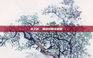 龙之谷，加点攻略全解析