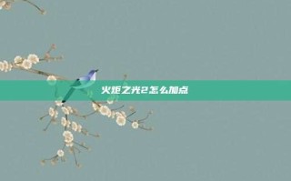 火炬之光2怎么加点