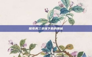 探索真三录像下载的奥秘