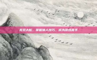 无双大蛇，掌握换人技巧，成为游戏高手