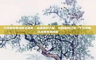 斗战神宠物技能全解析，从废柴到大腿，你的宠物只差一个好技能-斗战神宠物技能