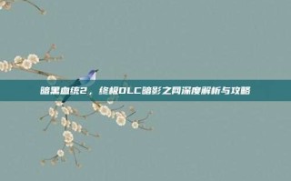 暗黑血统2，终极DLC暗影之网深度解析与攻略
