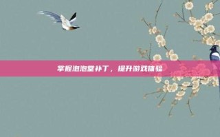 掌握泡泡堂补丁，提升游戏体验