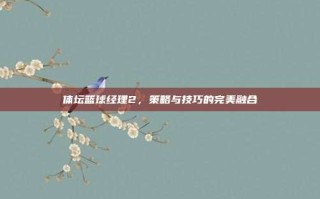体坛篮球经理2，策略与技巧的完美融合