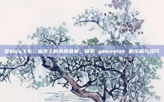 爱拍qq飞车，指尖上的激情盛宴，探索 gameplay 的乐趣与技巧