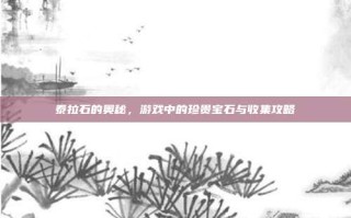 泰拉石的奥秘，游戏中的珍贵宝石与收集攻略