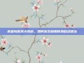 英雄岛载具大揭秘，如何高效利用你的移动堡垒