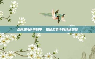剑网3阿萨辛铜甲，揭秘游戏中的神秘装备